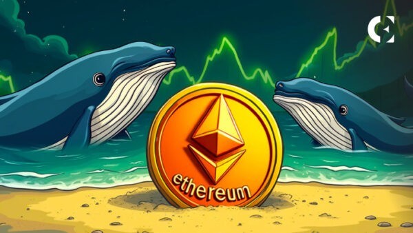 Цена Ethereum снижается на 10%, но данные на цепочке показывают, что киты знают что-то большое