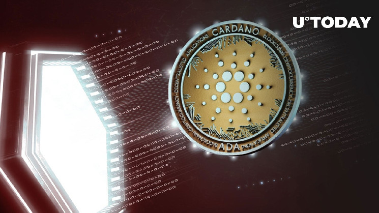 Cardano (ADA) приносит прибыль только 5% инвесторов, что дальше?