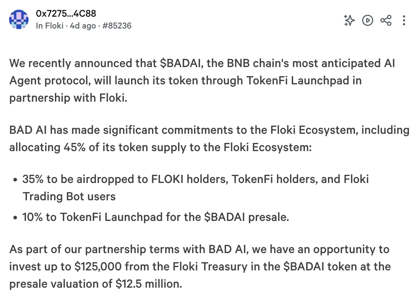 Trecho da proposta de Floki de investir US $ 125.000 em Badai