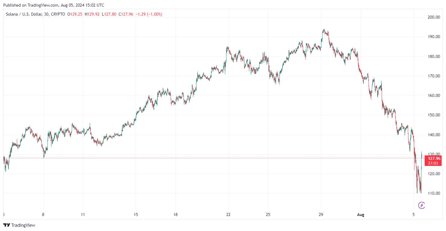 By TradingView - SOLUSD_2024-08-05 (1M)