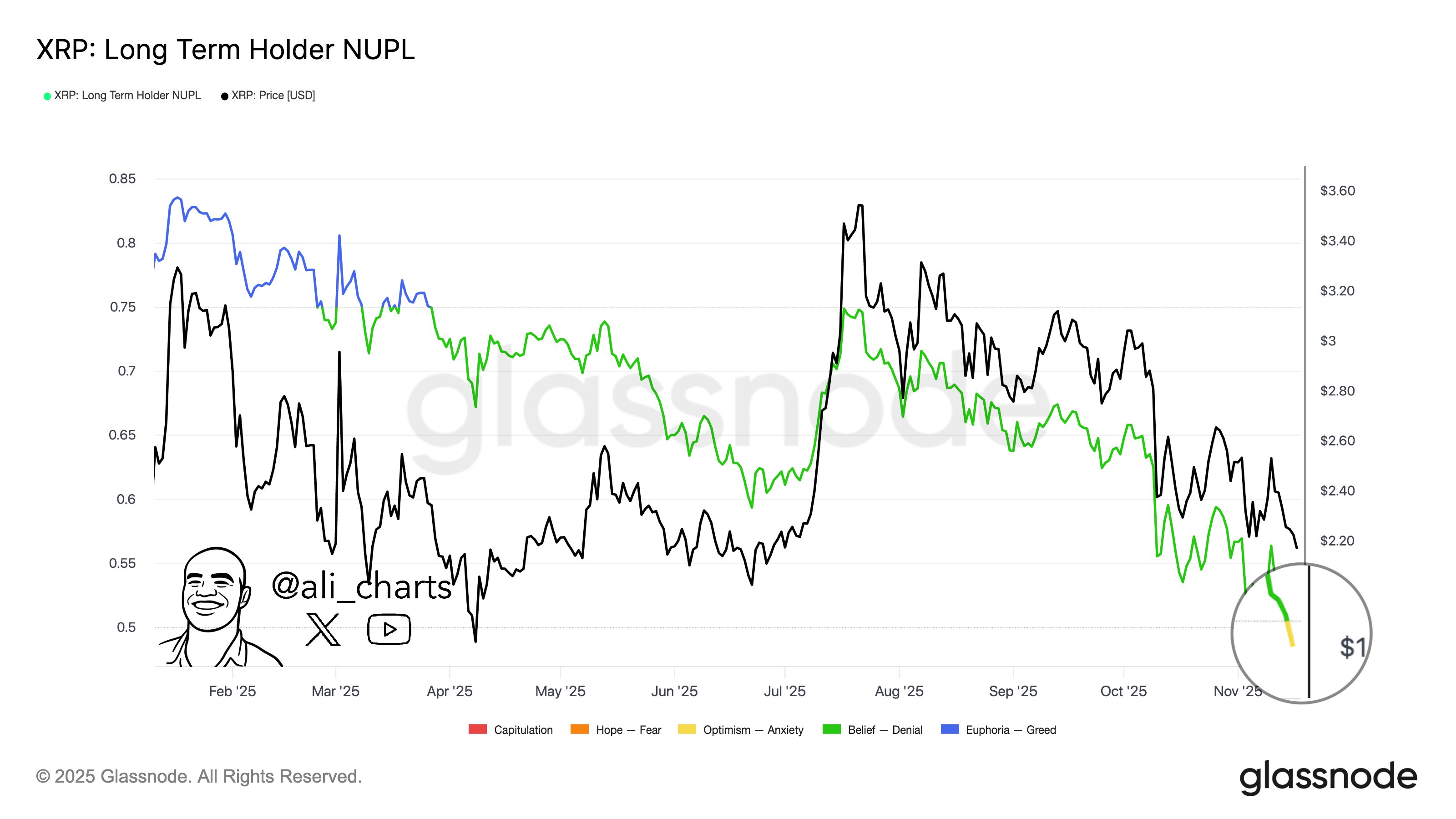 XRP Long-Term Holder NUPL