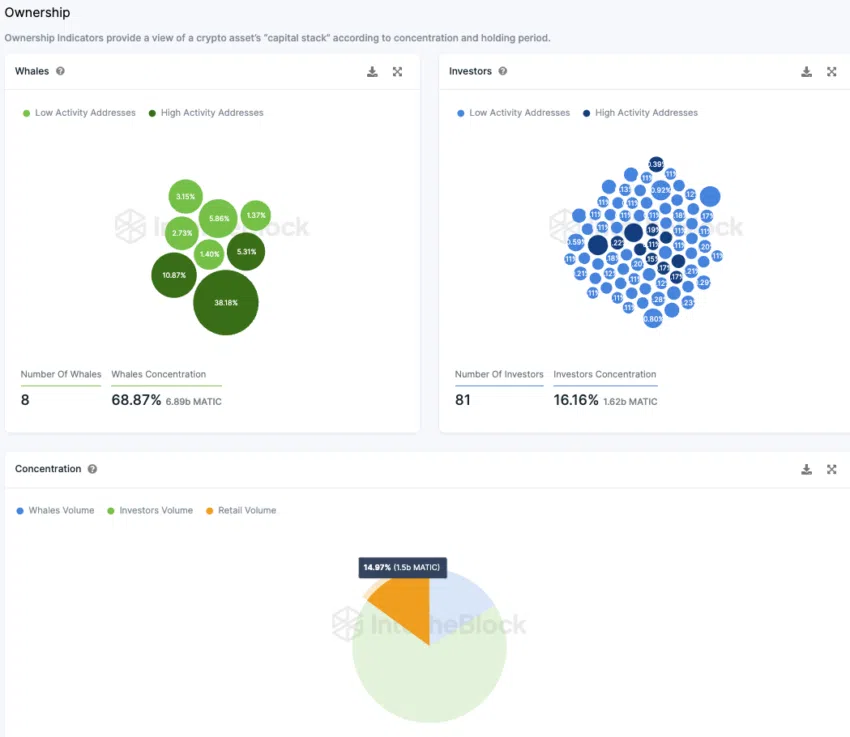 Polygon IntoTheBlock On-Chain Analyse