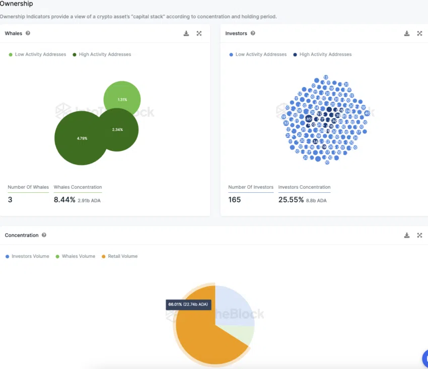 Cardano Konzentration der Investor-Typen