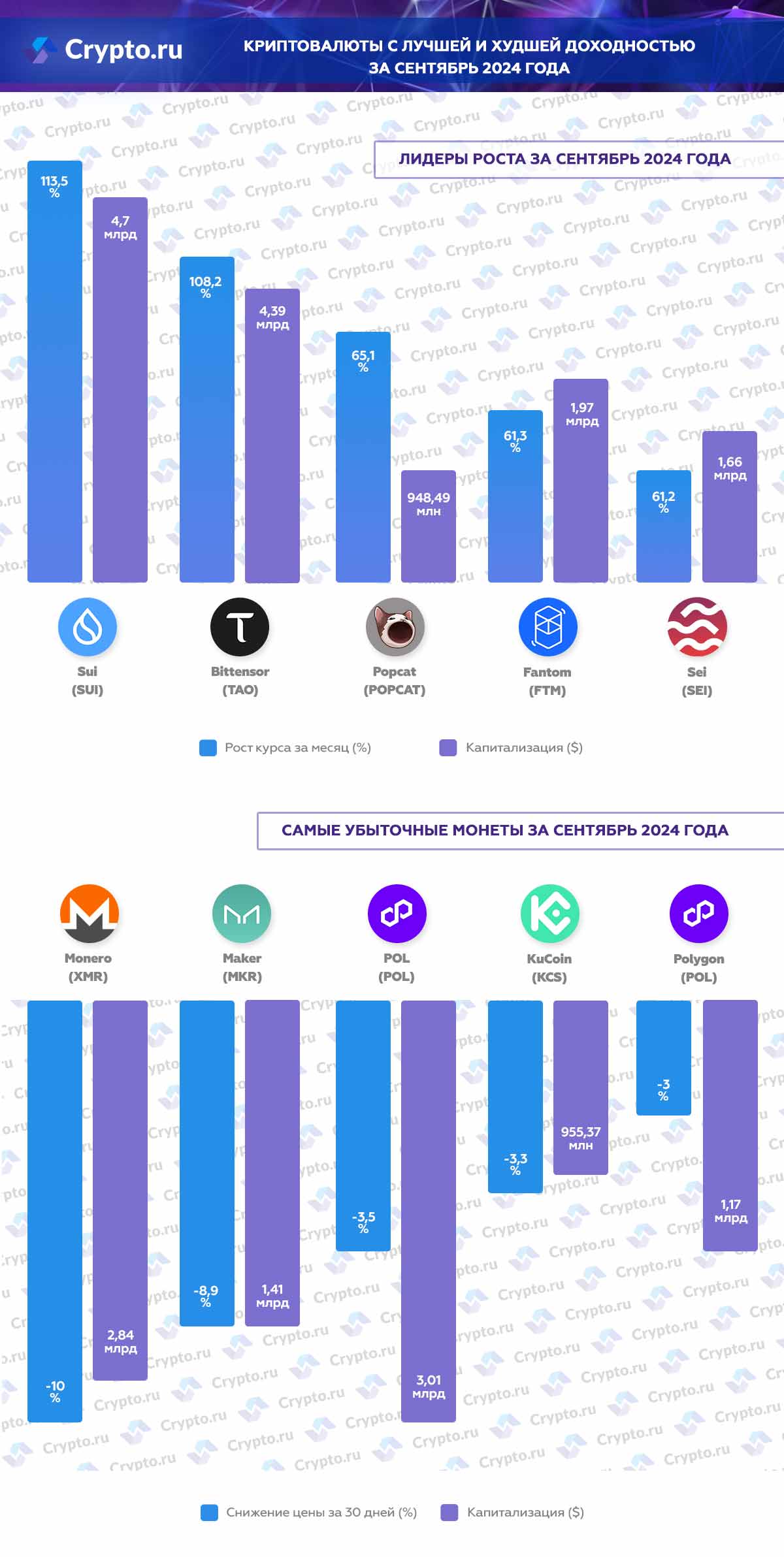 Инфографика