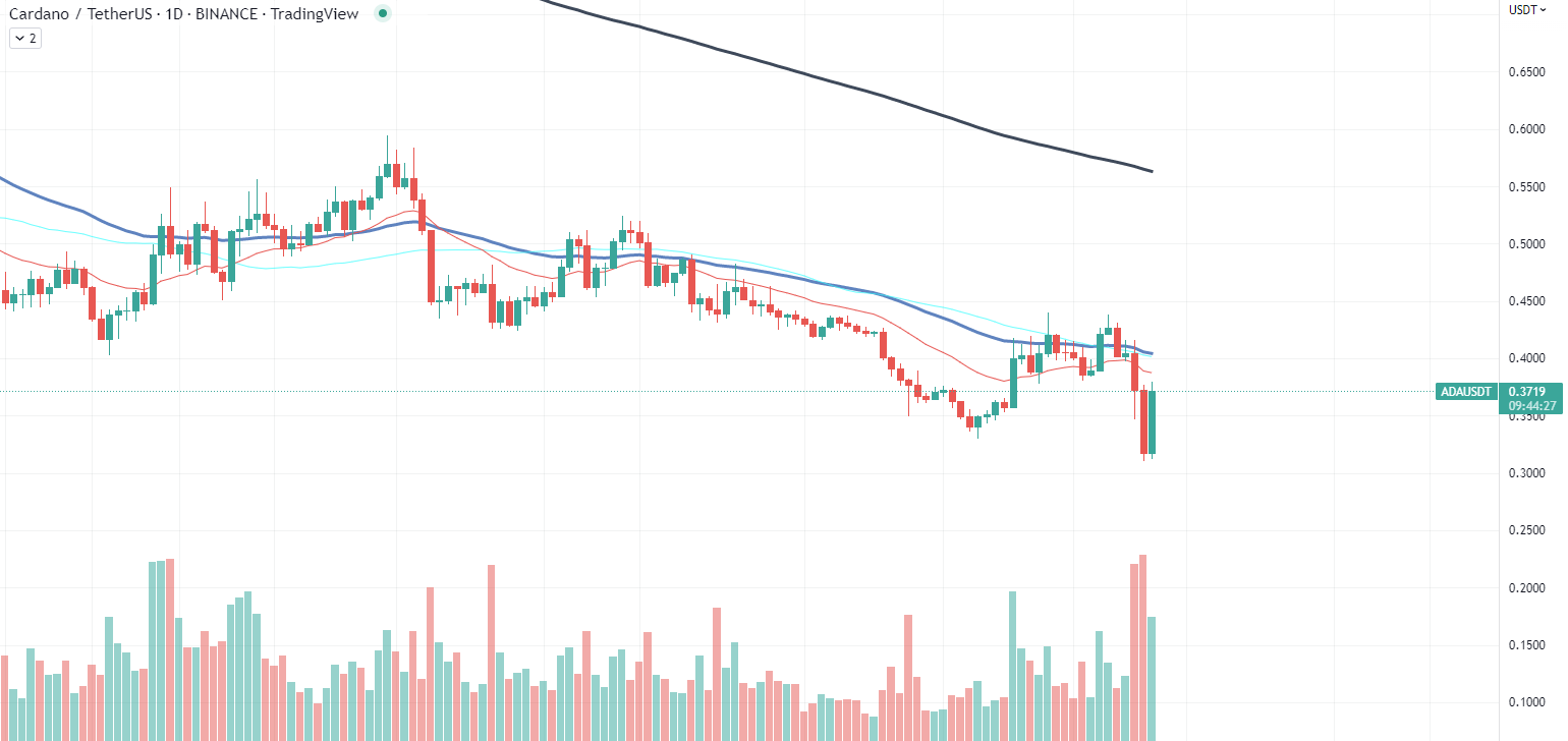 Cardano chart