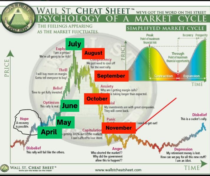 psychology-market-cycle-wynn