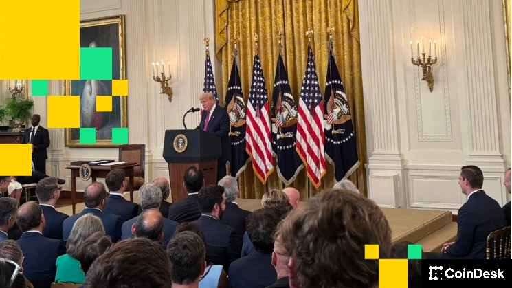 Узел: безумное путешествие от Терры до гения