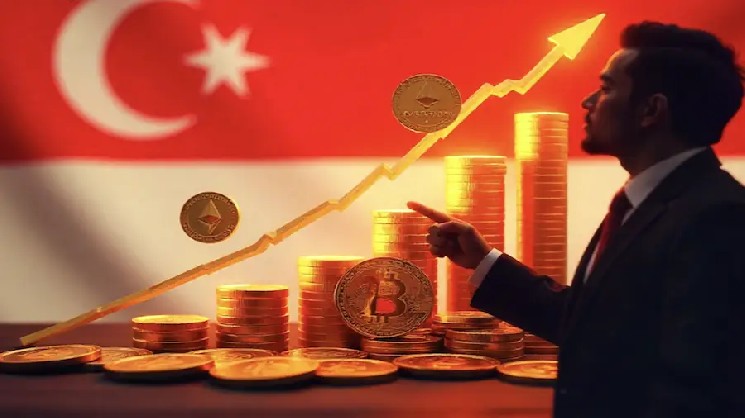 Банк Индонезии планирует запуск государственного стейблкоина