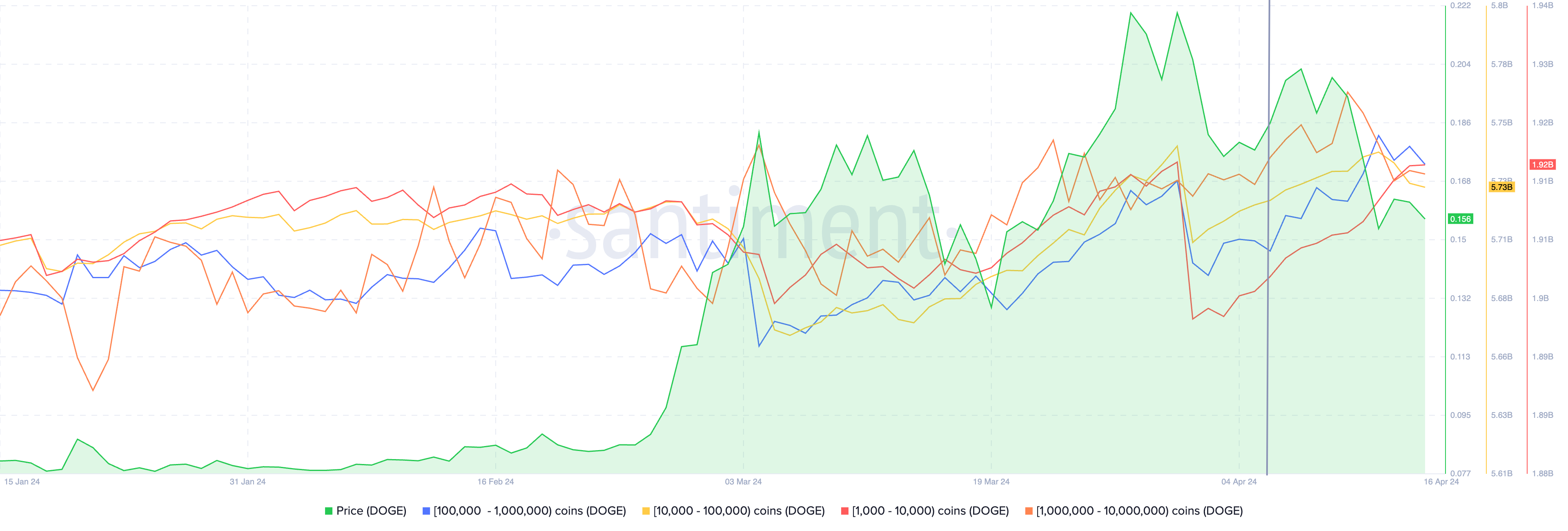 DOGE supply distribution