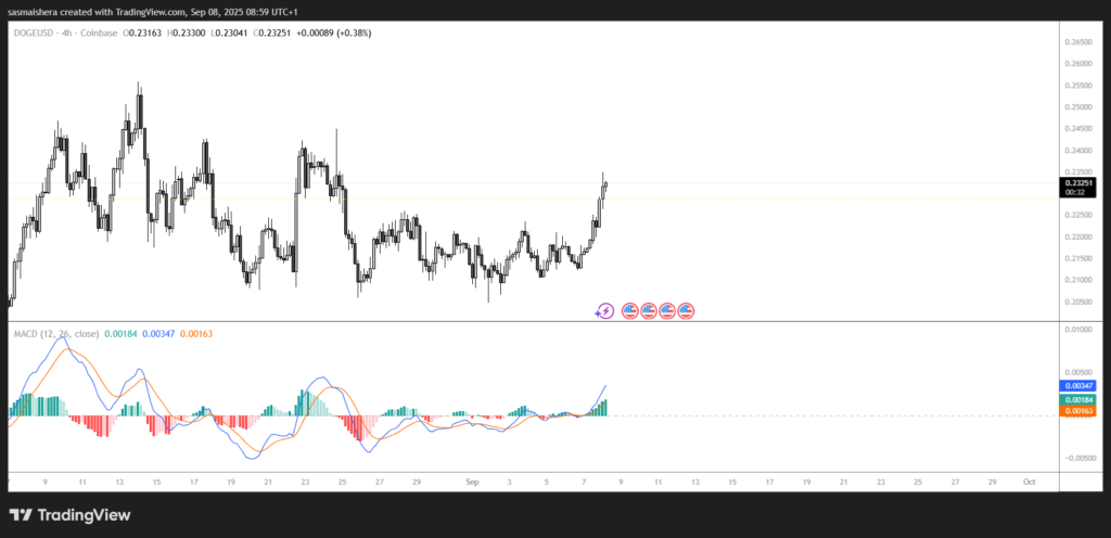 DOGE/USD 4H Chart