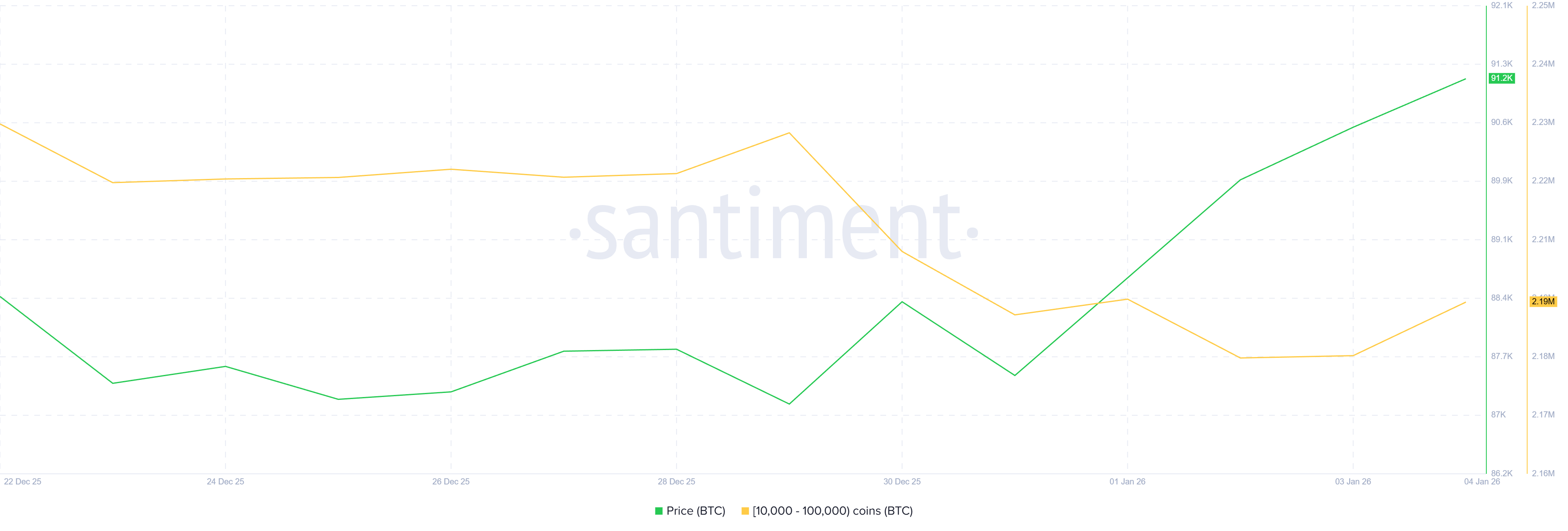 Bitcoin Whale Holding. 