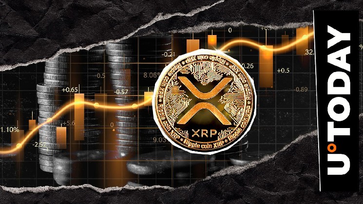 Xrp Notification XRP Explodes 316.9% in Payment Volume, Silent Price Signal?