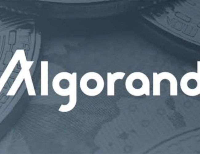 Algorand представляет $EURD и $USDCa в качестве соответствующих MiCA