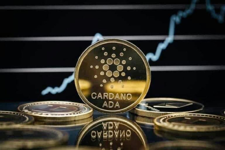 Вот как Cardano (ADA) действовал в 2024 году на данный момент