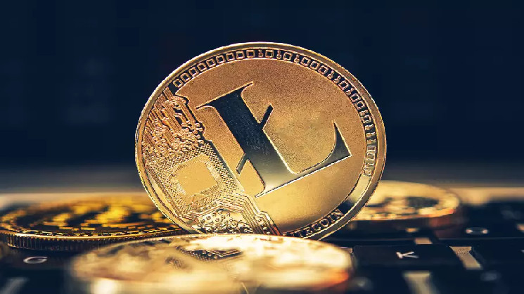 В сети Litecoin выросло число активных адресов