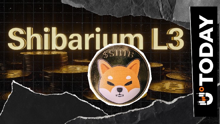 Shibarium L3 'Currently Under Testing': When Is Mainnet Launch?