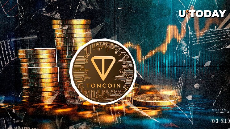 Тонкин (тонна) Детрин Шиба Ину после необычного ралли в 15%