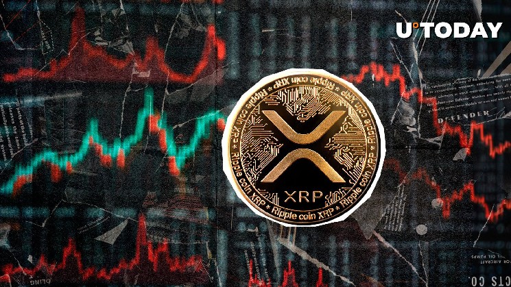80% держателей XRP в прибыли, так как ставка финансирования становится положительным