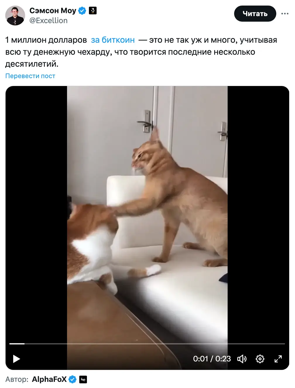 Путь биткоина к $1 млн может оказаться «очень скучным» Путь биткоина к $1 млн может оказаться «очень скучным»