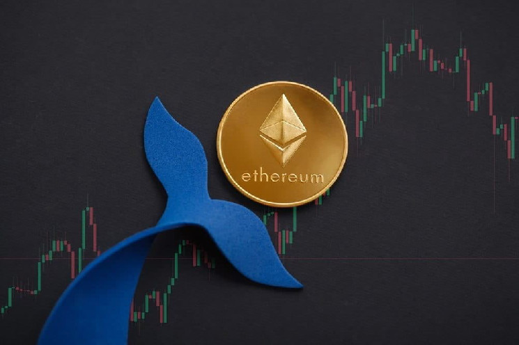 L’énorme baleine Ethereum empile près de 200 millions de dollars en février