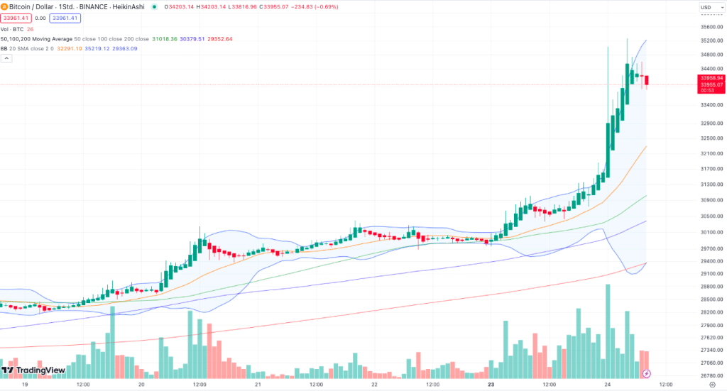 Bitcoin Preis