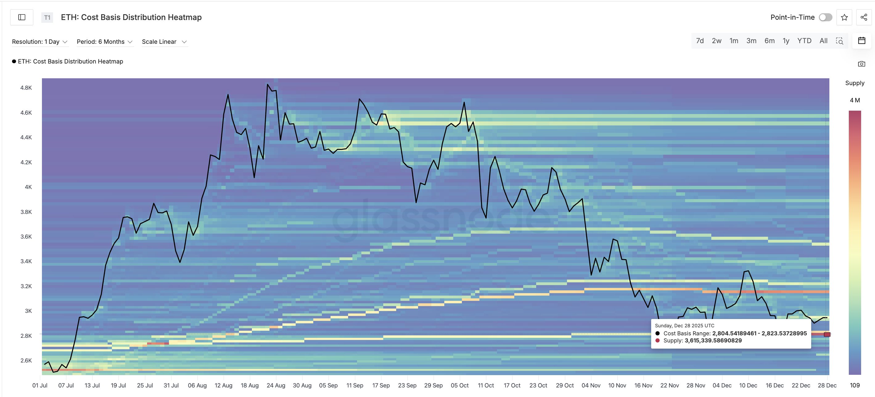Strong Neckline Support