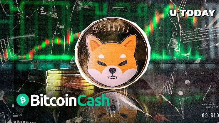 Шиба Ину (Шиб) всего лишь 1,4 миллиарда долларов от переворачивания биткойнов наличными