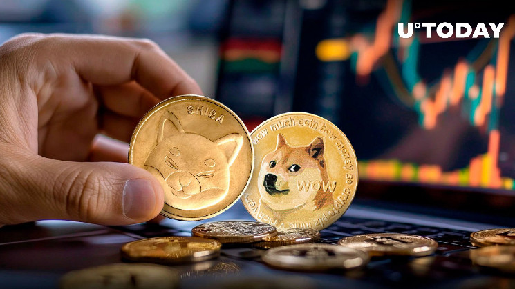 Основатель Dogecoin сделал неожиданное заявление о сиба-ину