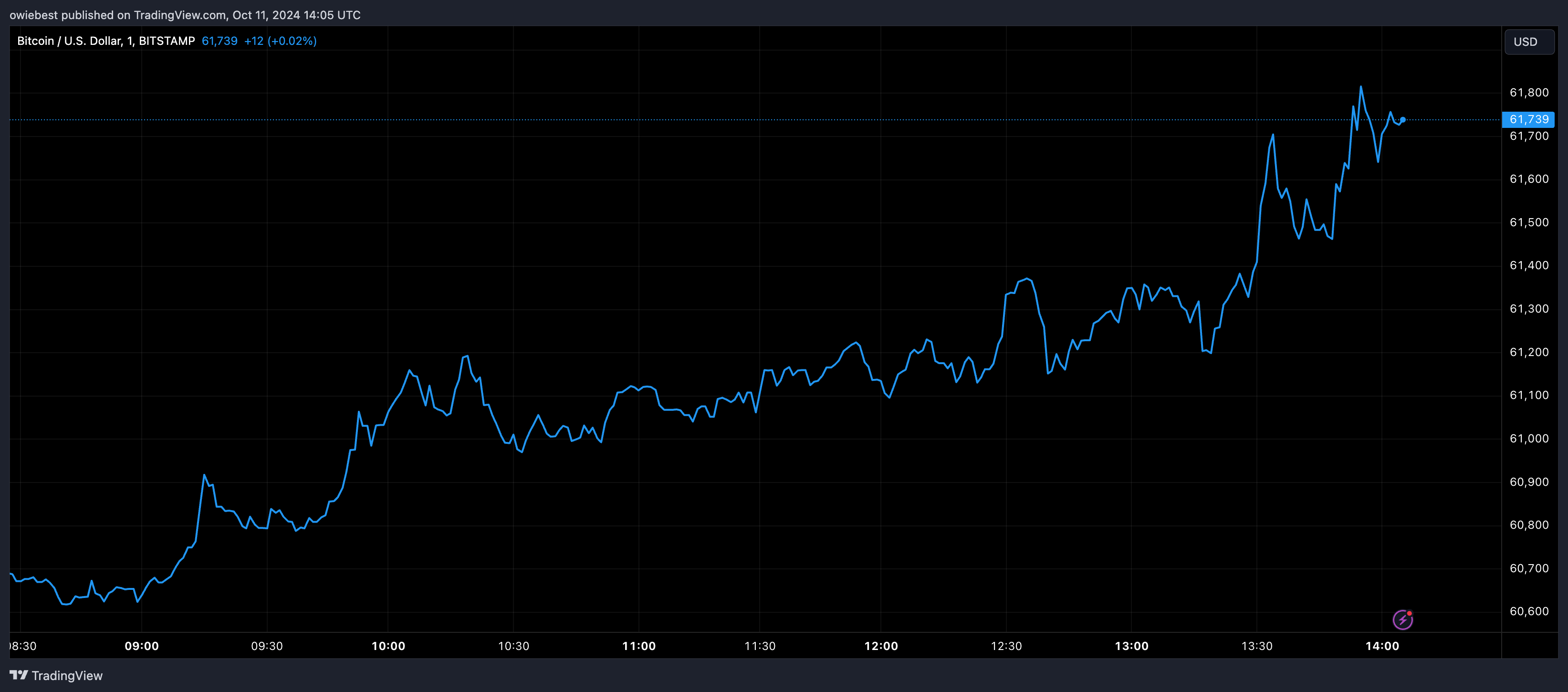 BITSTAMP:BTCUSD Chart Image by owiebest