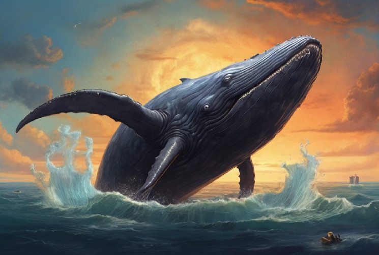Таинственный биткойн-кит 2010 года запускает рыночный сертификат только для биткойнов