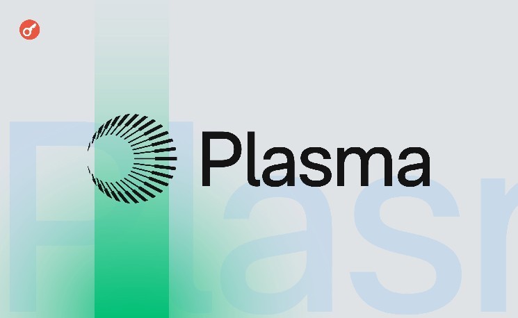 Проект Plasma собрал $500 млн в рамках токенсейла за 5 минут