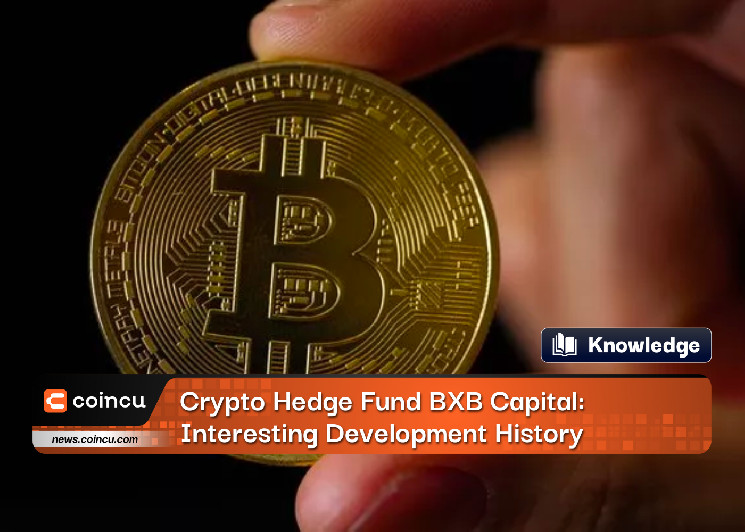 Crypto Hedge Fund BXB Capital: интересная история развития