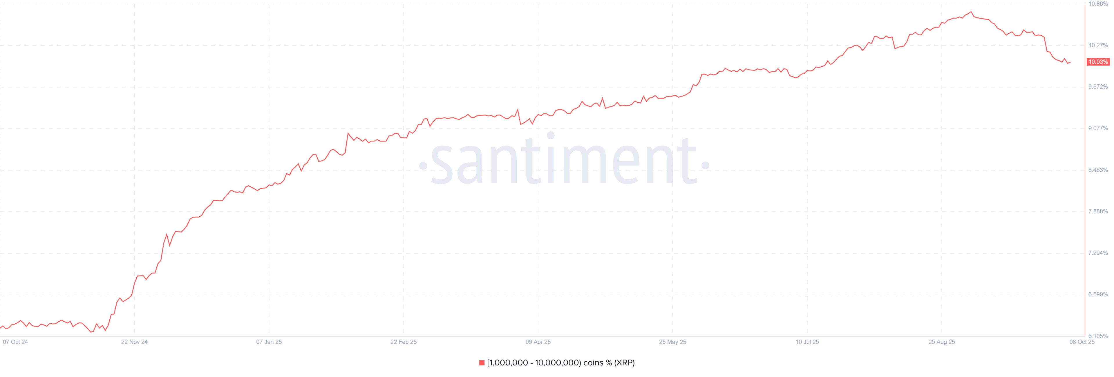 Der Prozentsatz des XRP-Angebots, das von Wallets mit einem 1 Mio.—10 Mio. XRP-Guthaben gehalten wird. Quelle: Santiment.
