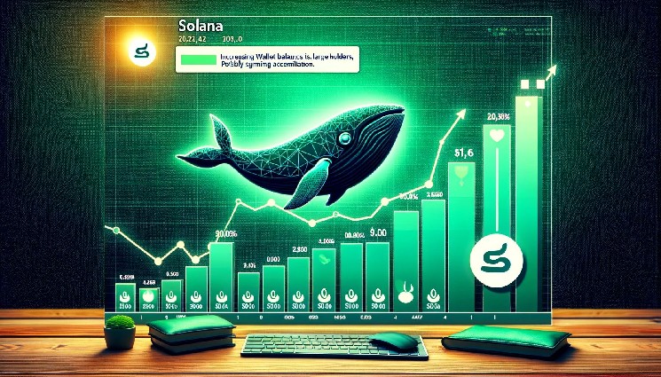 Метрики показывают, что Solana видит повышение активности китов - сигнал накопления?
