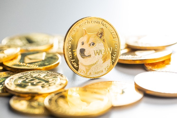 Dogecoin Makes History at Nasdaq as Kimchi Rings the Bell