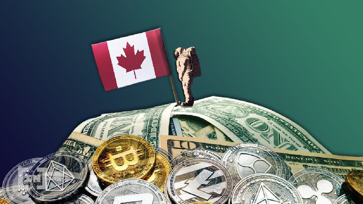 Ходлерам биткоина не хватает финансовой грамотности — Банк Канады