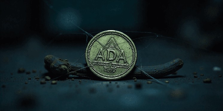 Cardano Whale включает Хоскинсон: ADA Crash?