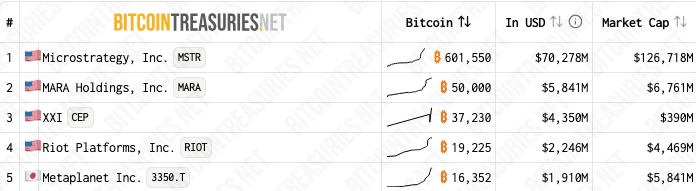 The five largest companies Bitcoin holders' BTC holdings and market capitalization
