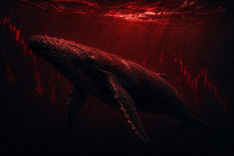 Warning: Whales Have Exited an Altcoin Causing Retail Investors’ Investments to Plunge