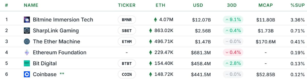 top-eth-holders-31-december