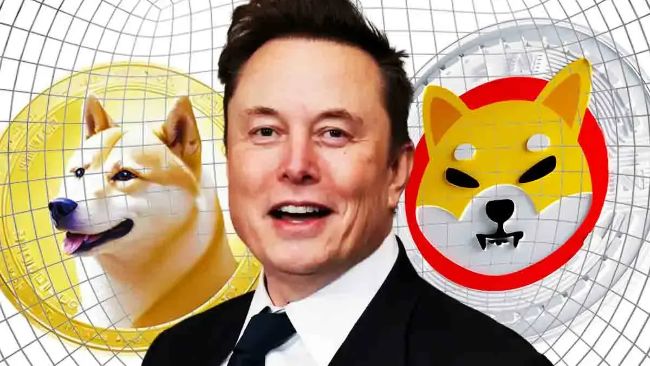 Может ли Shiba Inu Price Flip Dogecoin, если Элон Маск покинет дог среди зонда в Сенате?