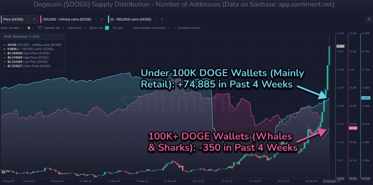 doge-wallets-number-change