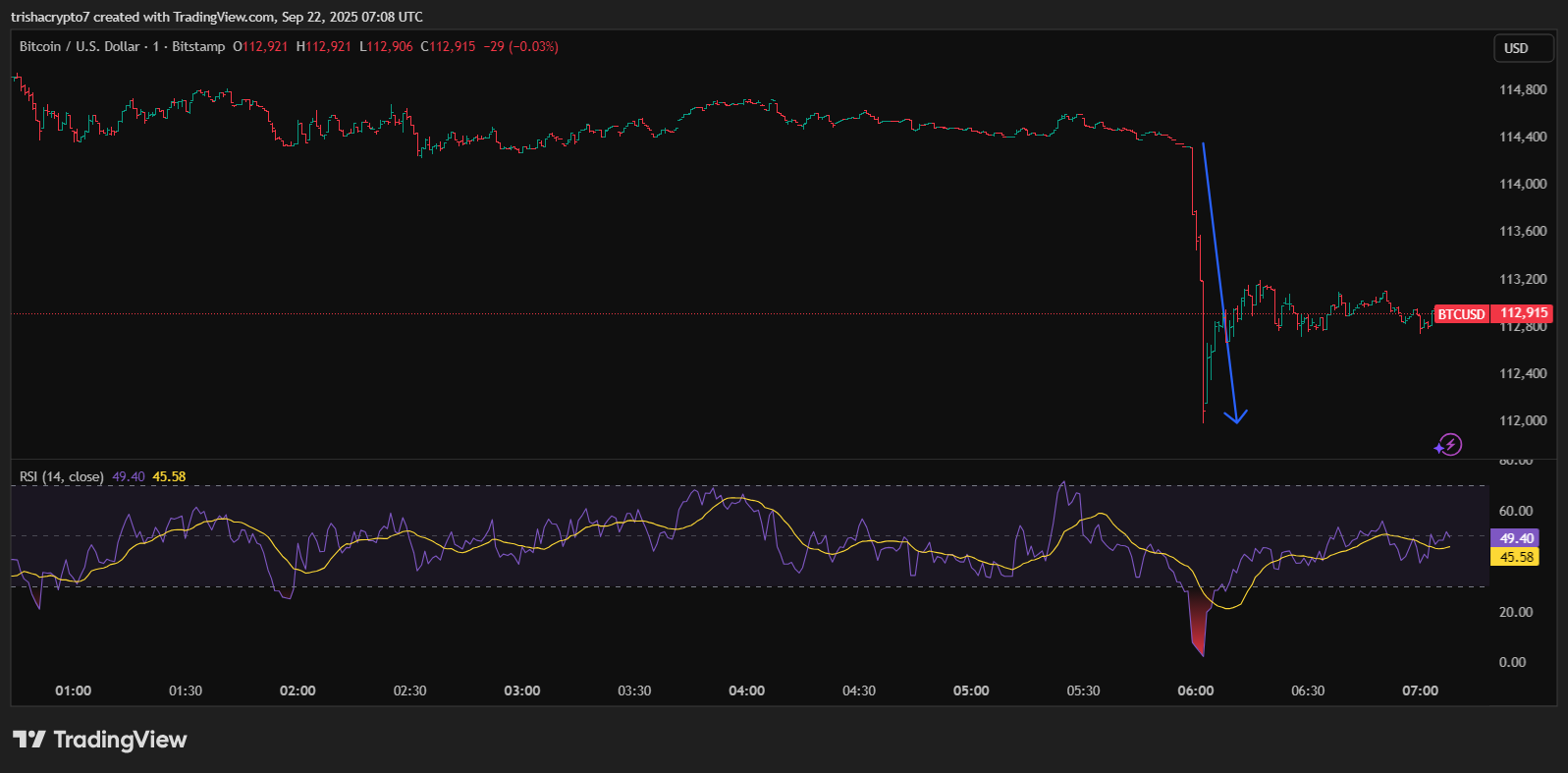 Mass liquidations erupted after BTC fell from the $115k threshold | Source: TradingView