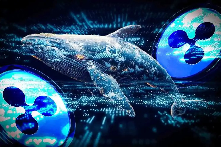 Цена XRP повторяет 500% схемы ралли, так как киты покупают 110 метров токена - вероятен еще один всплеск?