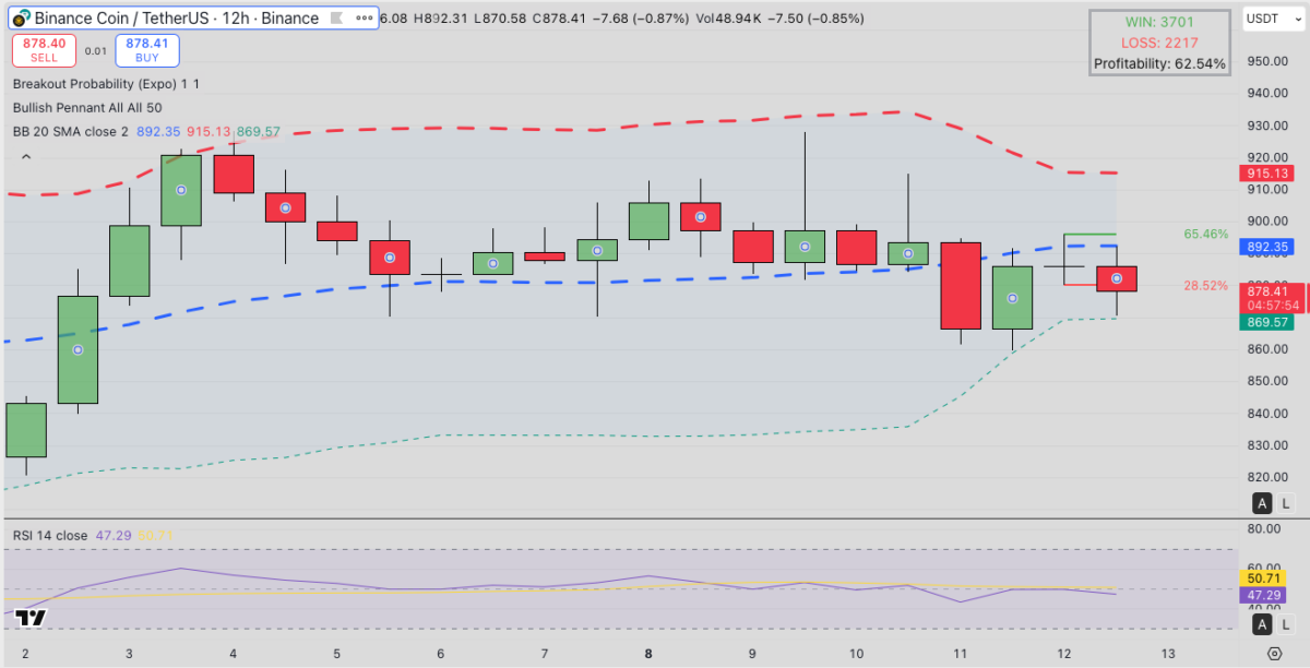 Binance (BNB) Technical Price Forecast | Source: TradingView