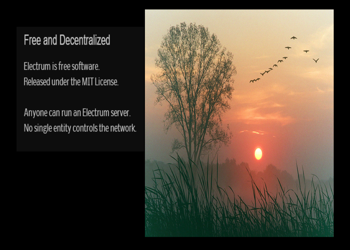 Free and decentralized 