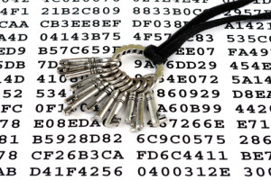 Binance, Etherscan и Matic поддержали запуск решения по управлению приватными ключами Torus