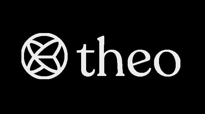 Экc-трейдеры из Citadel, Jane Street и JPMorgan поддержали стартап Theo — $20 млн инвестиций