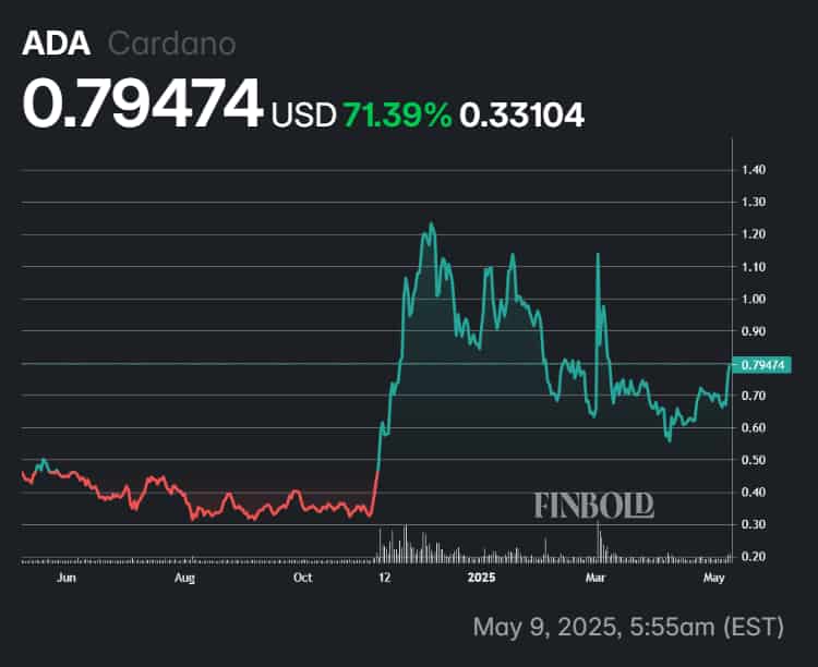 Cardano's performance in the last 12 months.