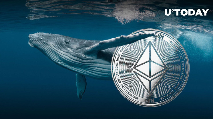 Ethereum Whales получают прибыль, поскольку ETH достигает $ 1904